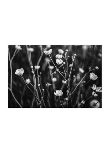 Poster branches - poster,