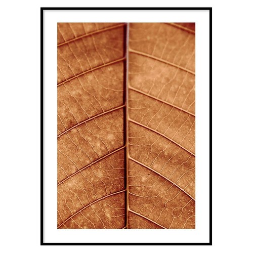 Poster foglia autunnale - autunnale,