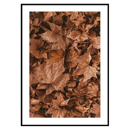 Poster foglie - poster,
