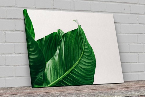 Quadro stampa tela fine - stampa, art