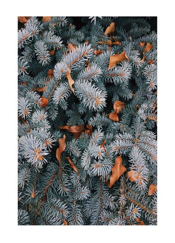 Poster soft colors - poster,